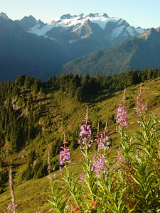 monte olimpo